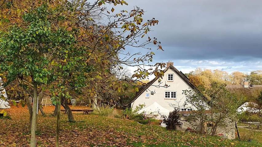Ferienhaus für 8 Personen, mit Garten, mit Haustier in Zirkow