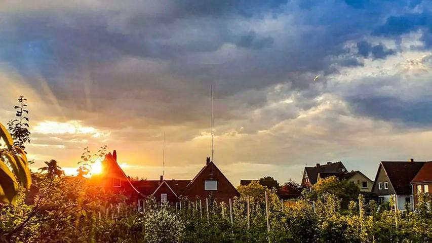 Ferienwohnung für 5 Personen in Hollern-Twielenfleth