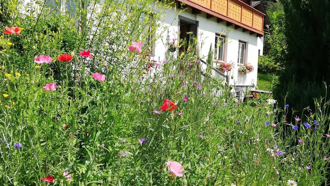 Ganze Ferienwohnung, Ferienwohnung für 6 Personen (90 m²) in Schladming in Schladming, Schladming-Dachstein