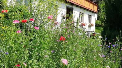 Bauernhof für 6 Personen in Schladming, Liezen und Umgebung, Bild 4