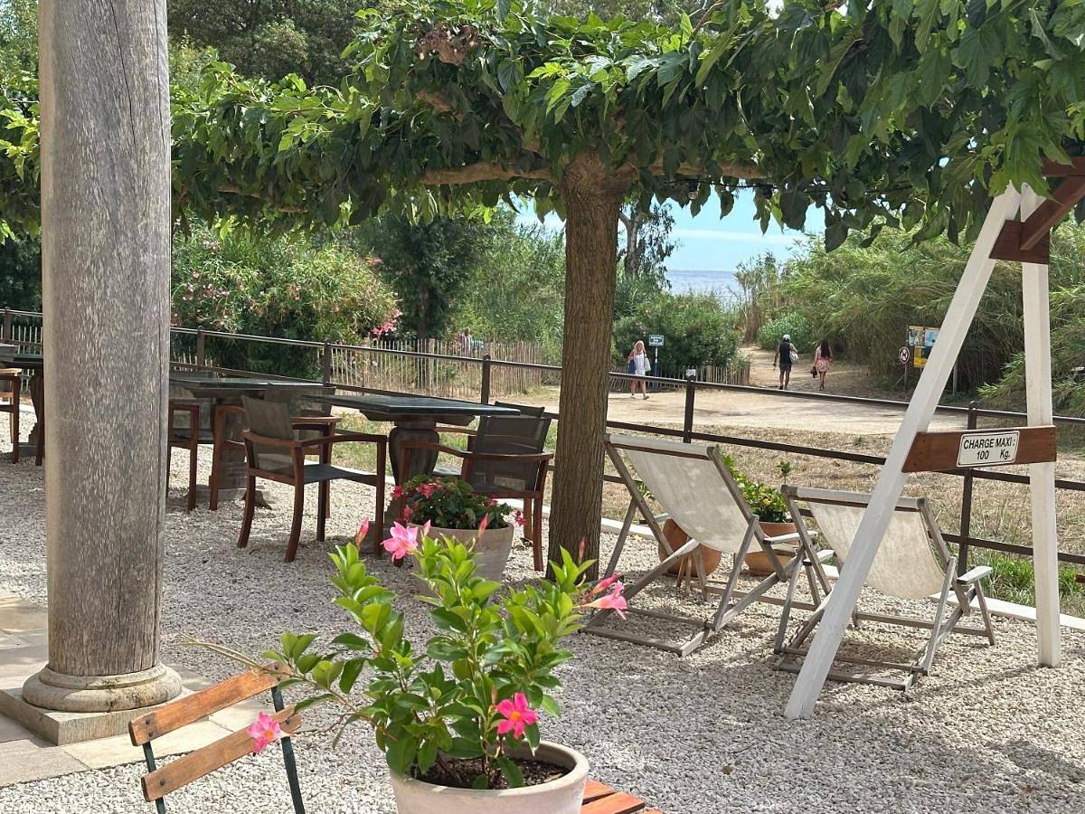 Le Clos des Sept Palmiers in Cavalaire-sur-Mer, Parc national de Port-Cros