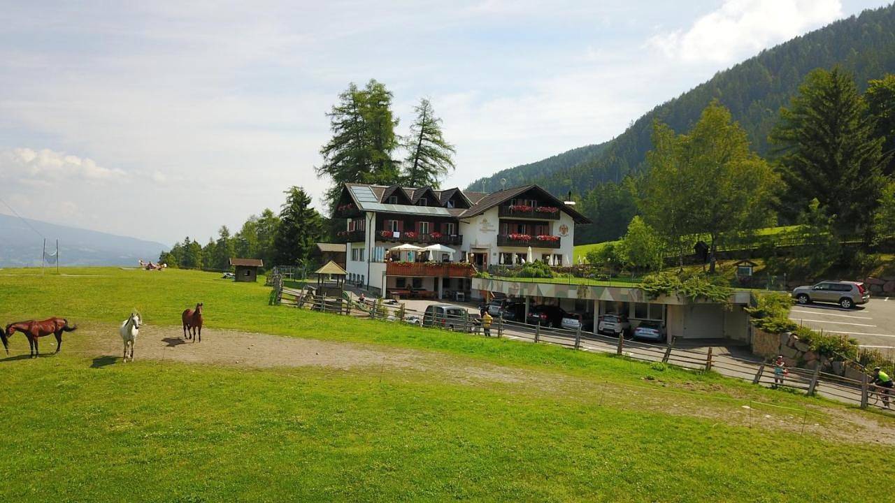 Gasthof Schneiderwiesen in Bolzano, Eggental