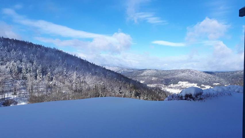 Ferienwohnung für 4 Personen, mit Garten und Ausblick, mit Haustier in Schöfweg - 3