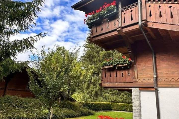 Location de vacances pour 8 personnes, avec jardin et jacuzzi ainsi que balcon et piscine dans Gstaad