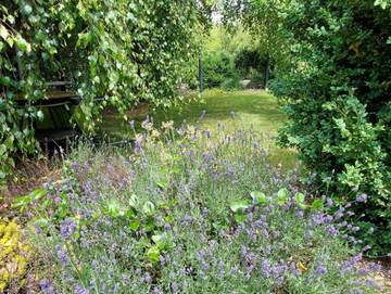 Ferienwohnung für 6 Personen in Tecklenburg, Münsterland, Bild 4