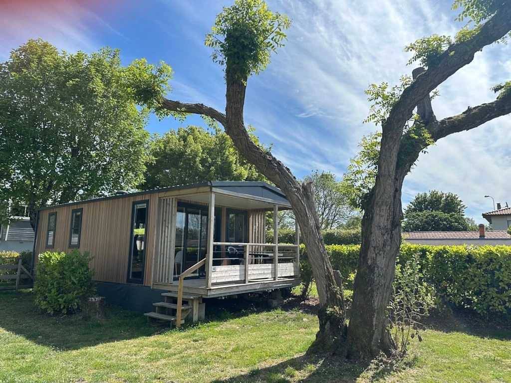 Zecamping 3* piscine chiens acceptés locatif Tv 28m2 6 pers in Arvert, Côte de Beauté