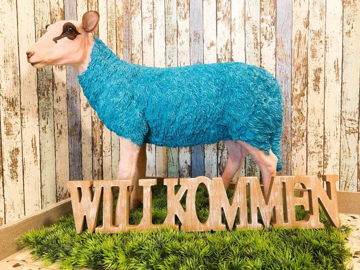 Ferienwohnung für 4 Personen, mit Garten, kinderfreundlich in Sahlenburg - 2