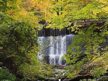 Camping for 6 Guests in New York State, USA, Picture 3