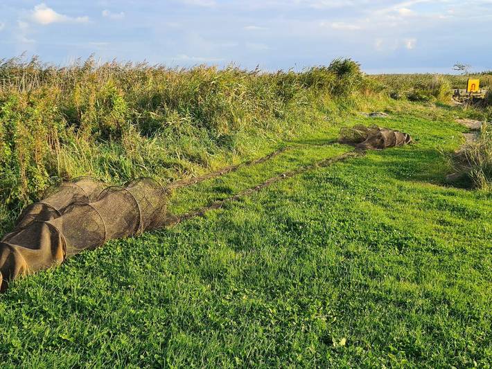Ferienhaus für 4 Personen, mit Garten und Terrasse, mit Haustier in Dänemark - 3