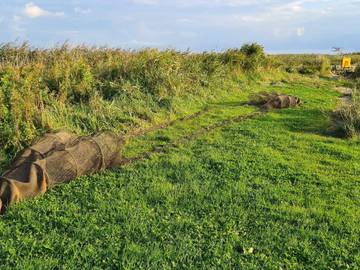 Strandhaus für 4 Personen in Ulfborg, Westjütland, Bild 2