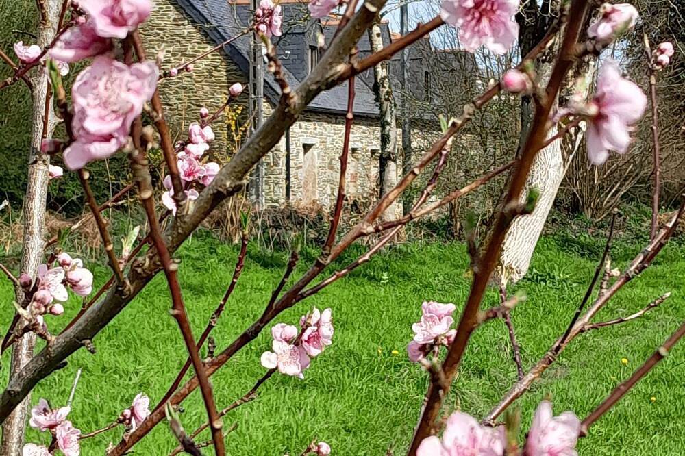 Apartamento entero, Charming apartment in rural Brittany, relax or work in peace and quiet. in Spézet, Châteaulin und Umgebung