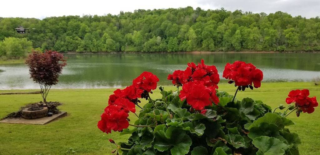 Ganze Wohnung, Lakehouse hat eine Aussicht wie kein anderer und einen einfachen Zugang! in Beaver Lake