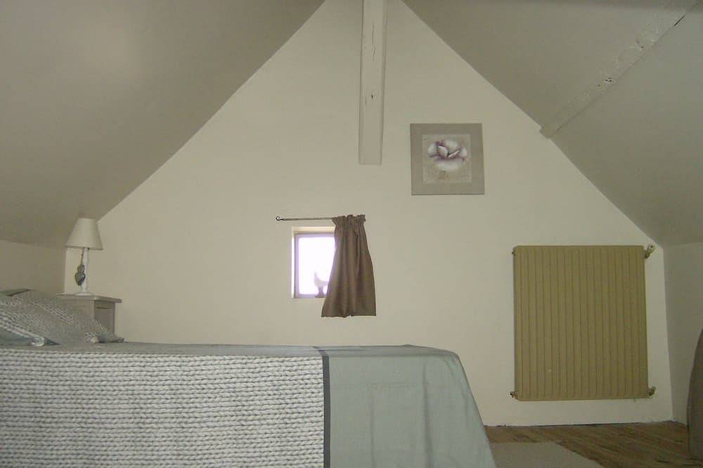 Pretty typical and old house in very good condition in the center and quiet in Amboise, Tours region