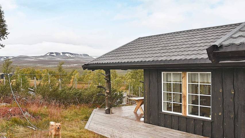 Feriehus for 6 personer, med jacuzzi og terrasse, dyr tillatt i Trøndelag