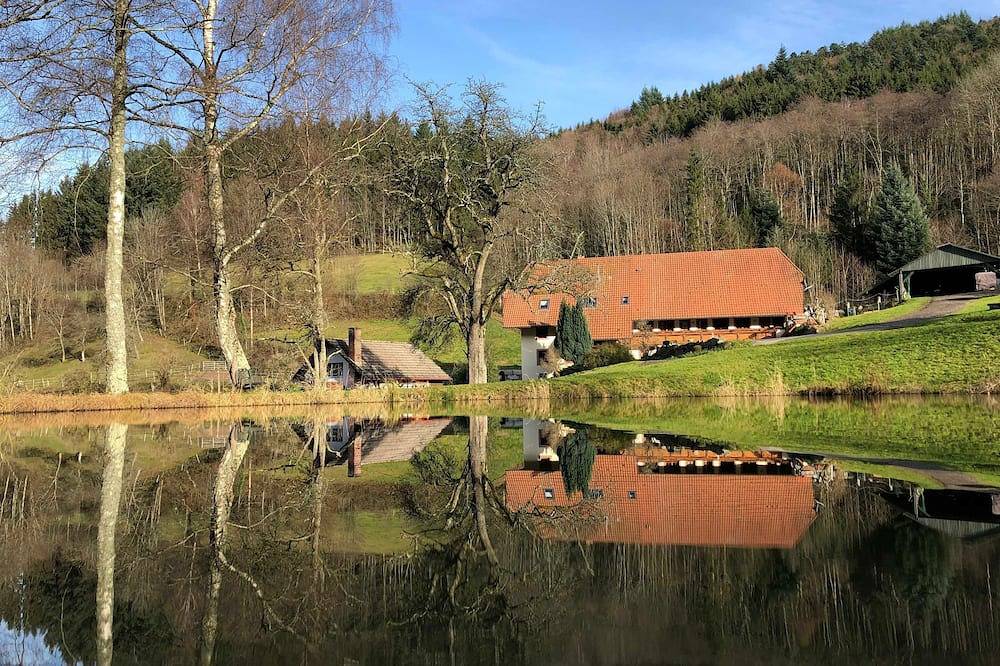Langmichelhof - Ferienwohnung 32qm, 1 Wohn-/Schlafraum in Waldkirch, Südschwarzwald