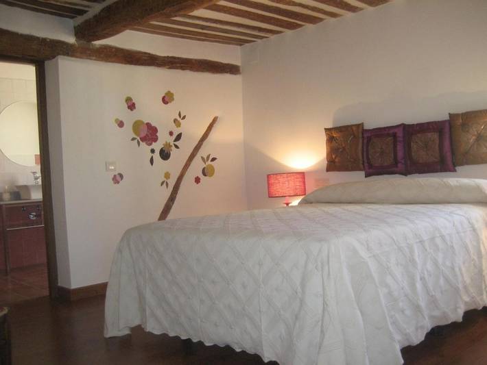 Casa de huéspuedes para 15 personas, con jardín en Ribera del Duero - 3