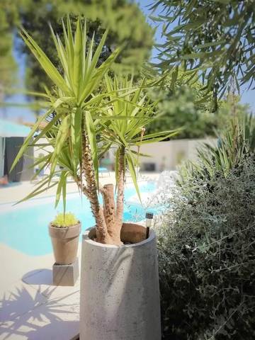 Gîte pour 2 personnes, avec piscine ainsi que vue et jardin à Boujan-sur-Libron