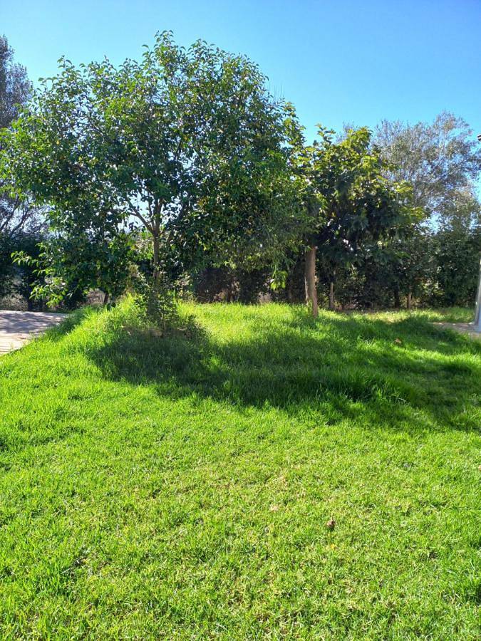 Gîte pour 3 personnes, avec balcon et vue, adapté aux familles à Sarrola-Carcopino - 4