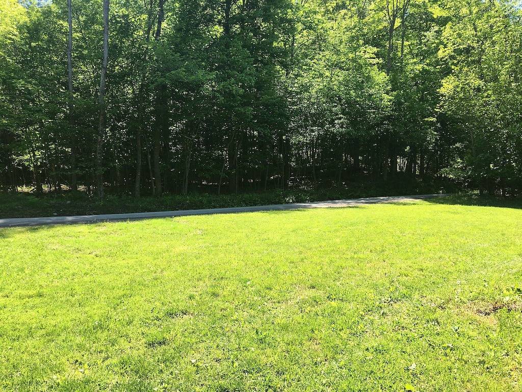 Paradise Ridge with beautiful Pine Creek view!!! in Tioga County