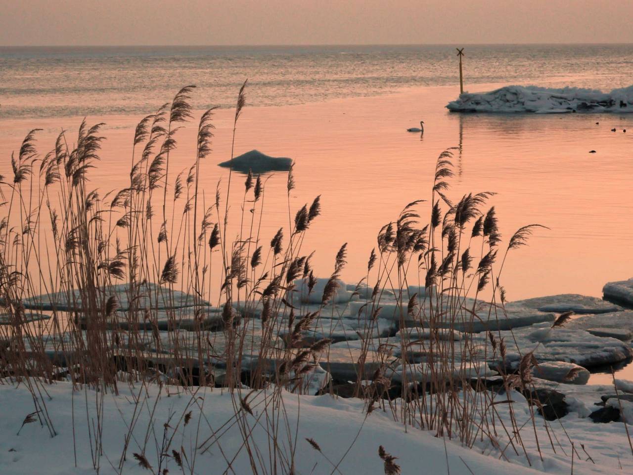 Ganze Ferienwohnung, Haus Havingblick - Having in Seedorf (Sellin), Sellin