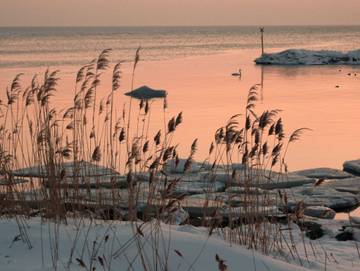 Ferienwohnung für 5 Personen in Seedorf (Sellin), Sellin, Bild 2