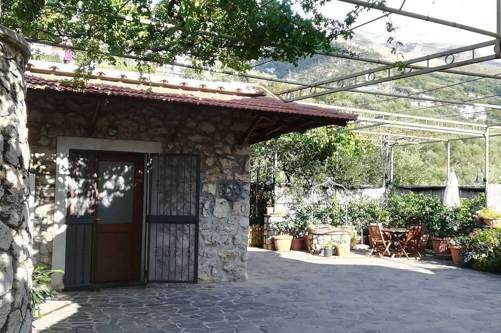 The Mandra cottage among the olive trees in Vico Equense, Monti Lattari