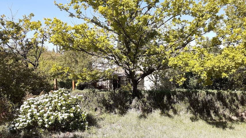 Gîte pour 4 personnes, avec jardin et terrasse à Valréas - 2