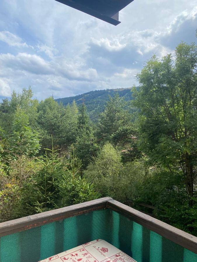 Gîte pour 6 personnes, avec balcon dans Station du Grand Puy - 2
