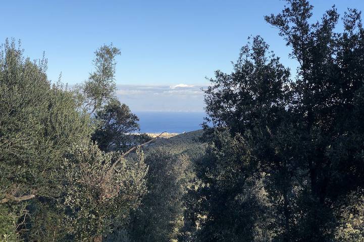 Gîte pour 4 personnes, avec jacuzzi et balcon dans Cap Corse