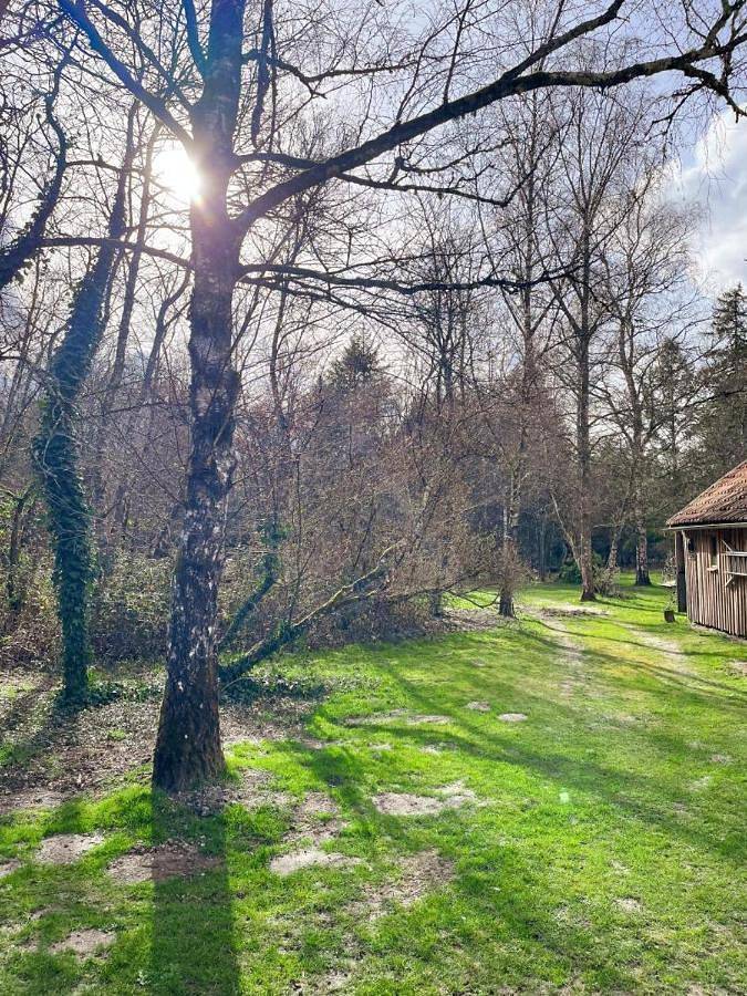 Chambre d’hôte pour 2 personnes, avec terrasse ainsi que vue et jardin à Chaumont-sur-Tharonne - 2