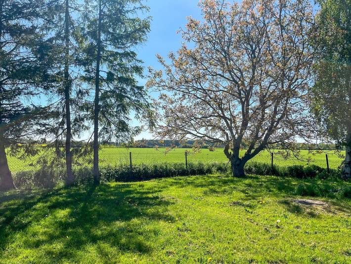 Ferienhaus für 4 Personen, mit Terrasse und Garten, kinderfreundlich in Mecklenburg-Vorpommern - 4