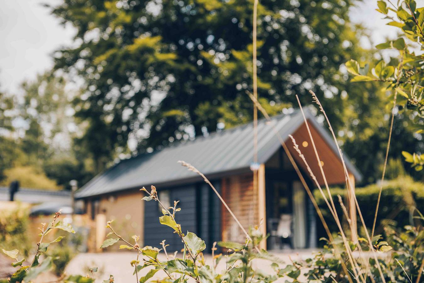 Veluwepark de Bosgraaf — Tiny Loft met hottub | 4 personen in Veluwe
