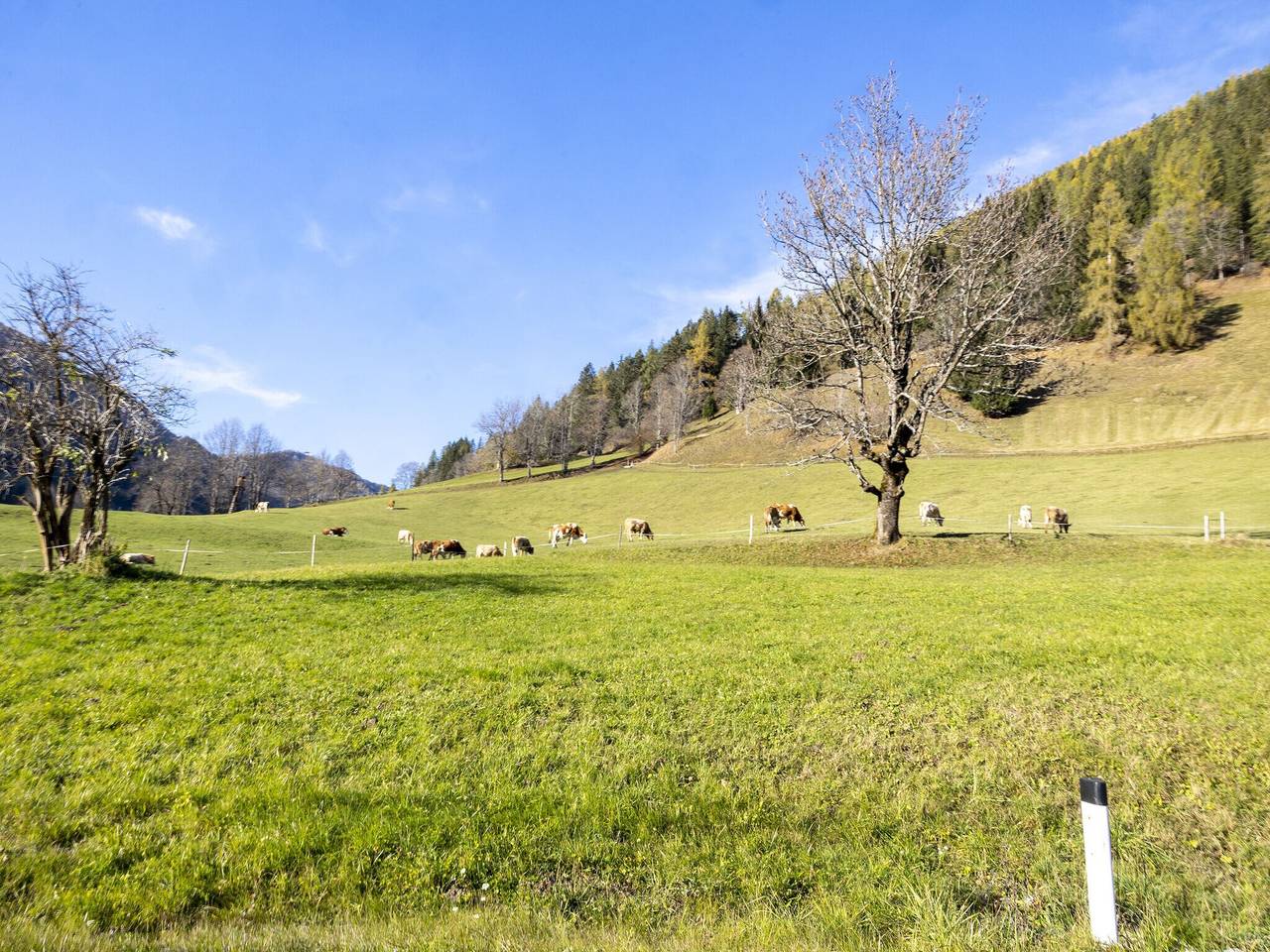 Ganze Wohnung, Zentral gelegenes Apartment in Bad Kleinkirchheim in Bad Kleinkirchheim, Nockberge