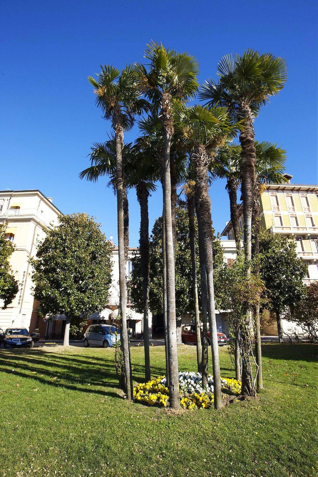 Entire apartment, Appartamenti Lungolago Nr. 6 in Verbania, Comune di Verbania