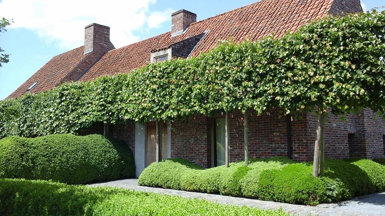 B&B De Hulst in Izegem, Flandre-Occidentale