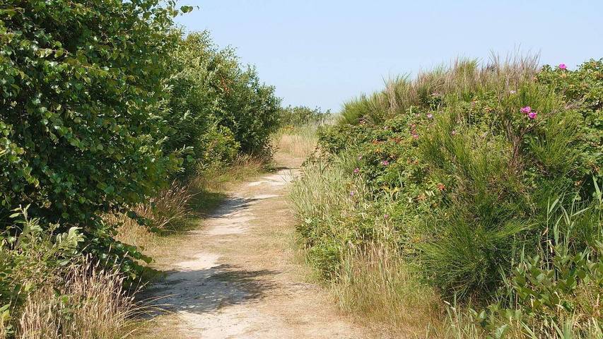Ferienhaus für 8 Personen, mit Sauna und Terrasse sowie Whirlpool in Nørhede Vest - 2
