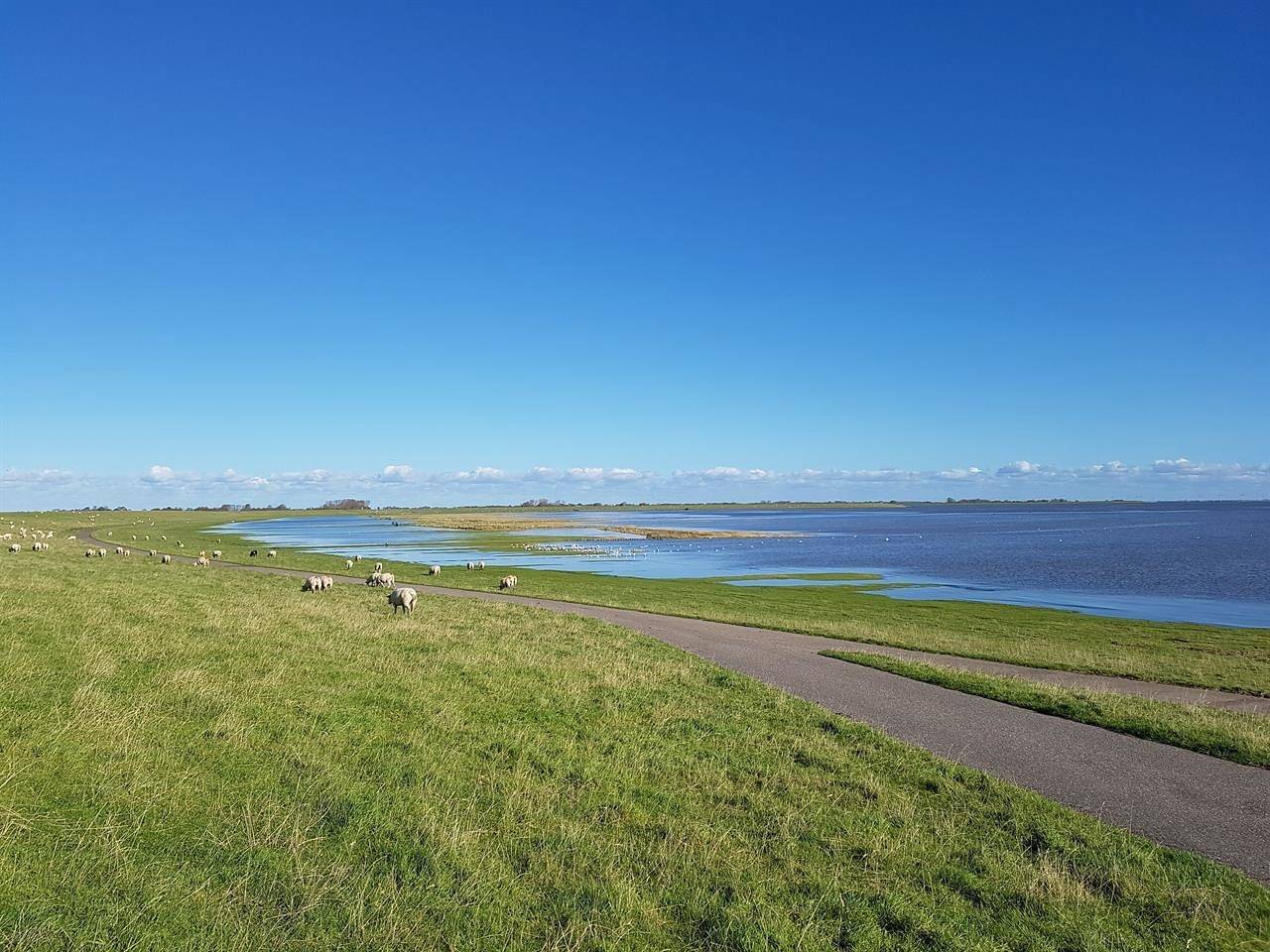 Ganze Ferienwohnung, Smutjes Stuv in Poppenbüll, Eiderstedt