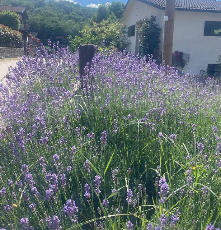 Gîte pour 4 personnes, avec jardin et vue à Riolunato - 4