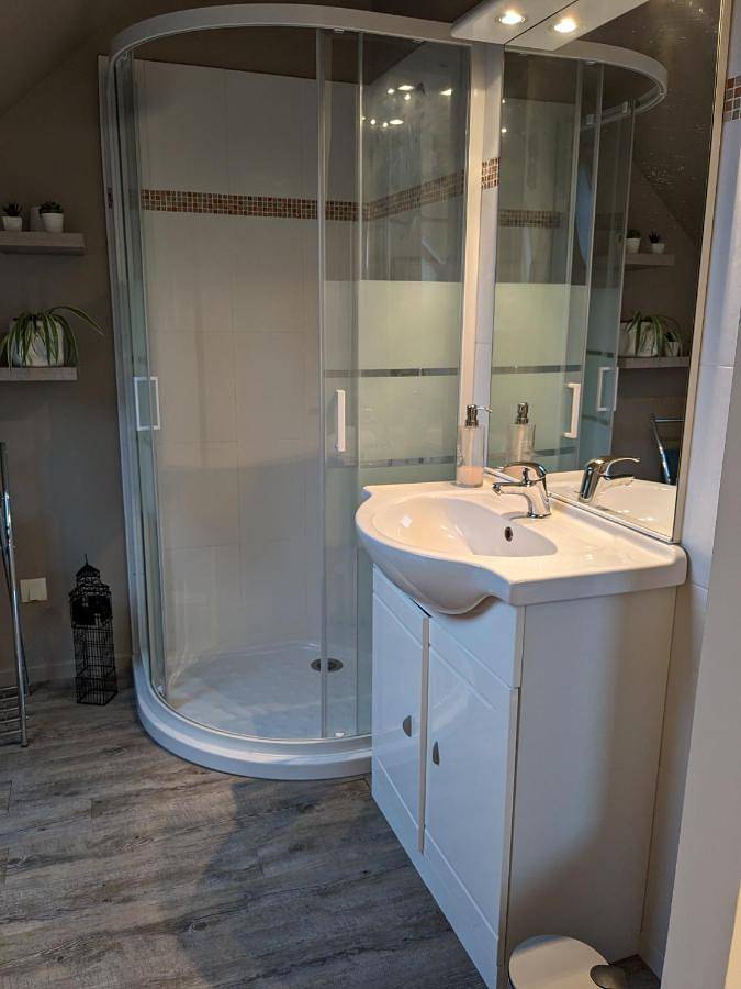 Chambre d’hôte pour 8 personnes, avec piscine et jardin, animaux acceptés à Mulsanne - 4