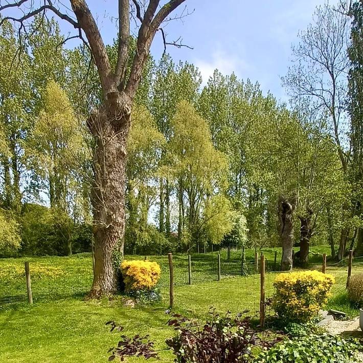 Gîte pour 5 personnes, avec jardin et terrasse, animaux acceptés dans Wittes