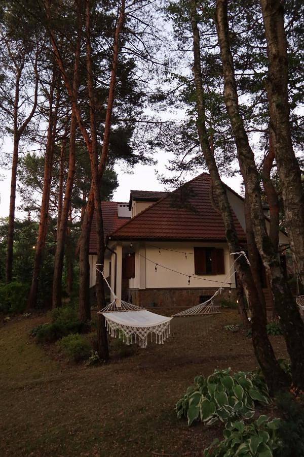 Villa für 22 Personen, mit Ausblick und Sauna sowie Garten, mit Haustier - 1