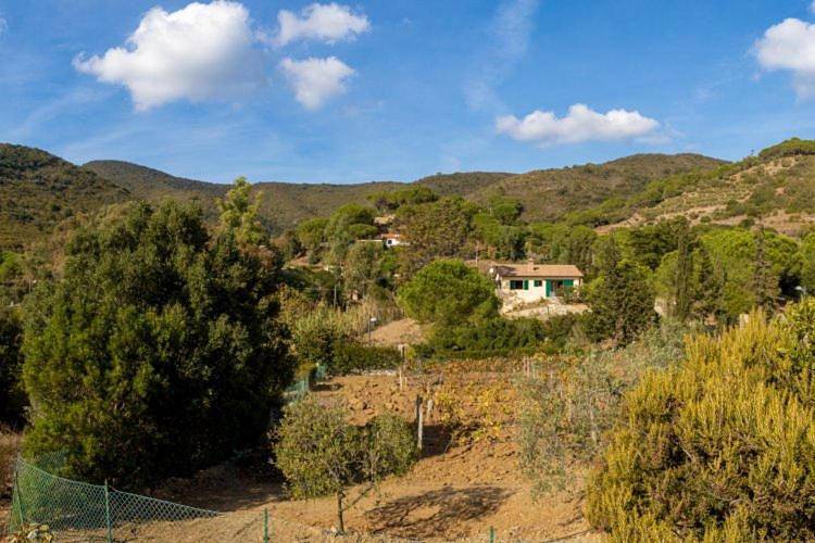 Villa Aia - Goelba in Lacona, Capoliveri