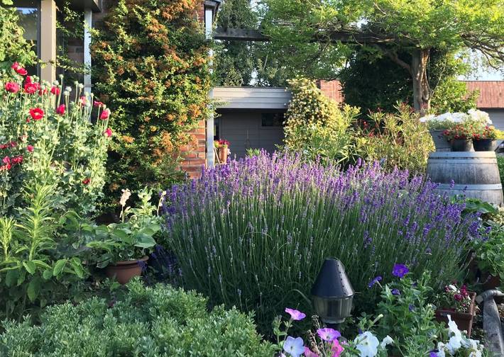 Chambre d’hôte pour 5 personnes, avec jardin dans Flandre-Occidentale