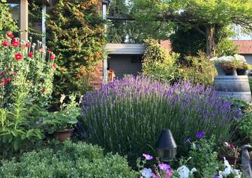 Chambre d’hôte pour 5 personnes, avec jardin en Belgique