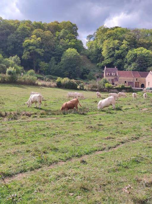 Four-Bedroom House in Domecy-sur-le-Vault, Parc naturel régional du Morvan