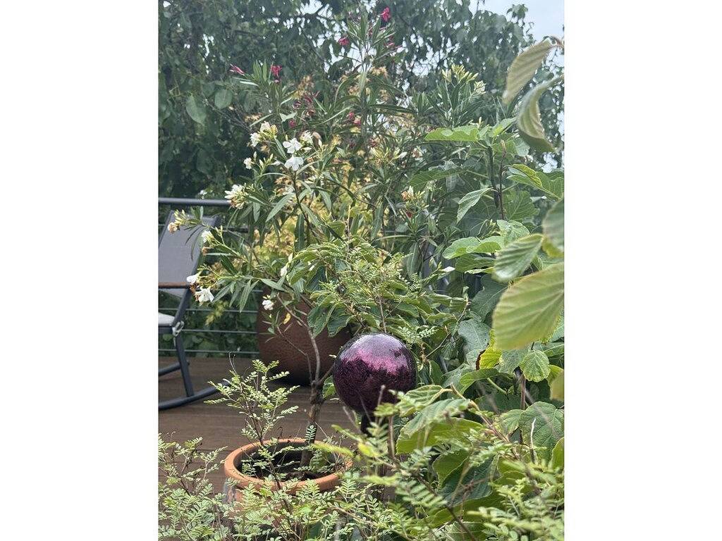 Apartamento en Geisenheim con piscina in Stephanshausen, Geisenheim