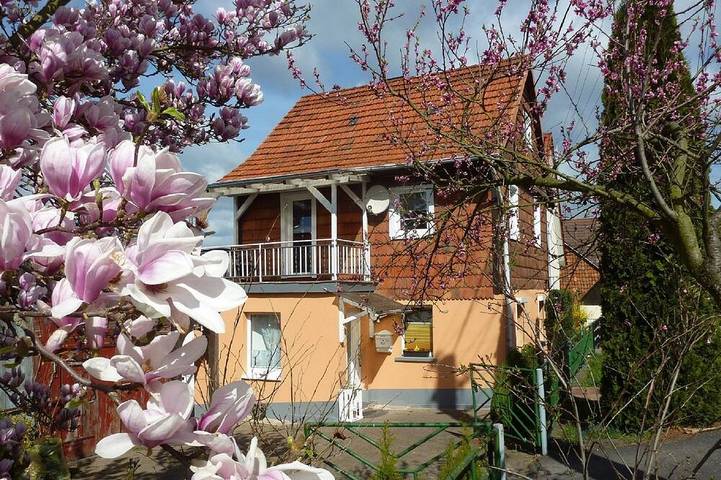 Ferienhaus für 6 Personen, mit Balkon und Garten, mit Haustier in Werratal