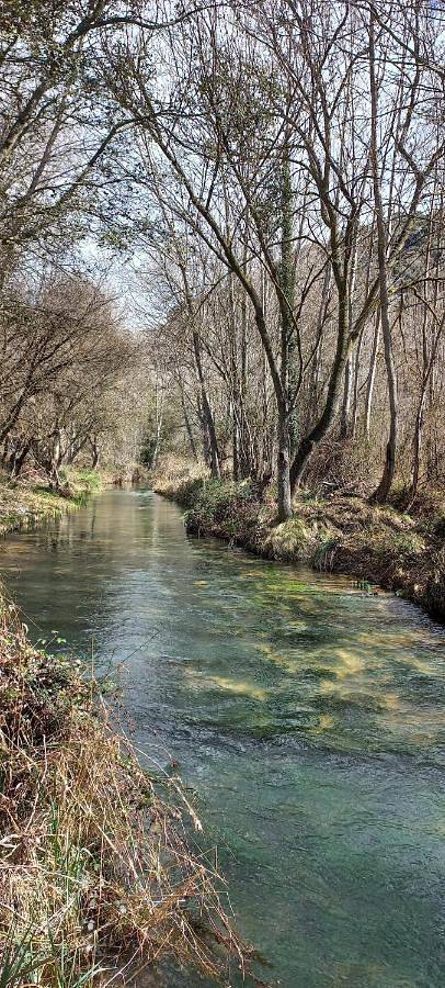 Spa y Casa Rural Rio Dulce in Aragosa, Mandayona