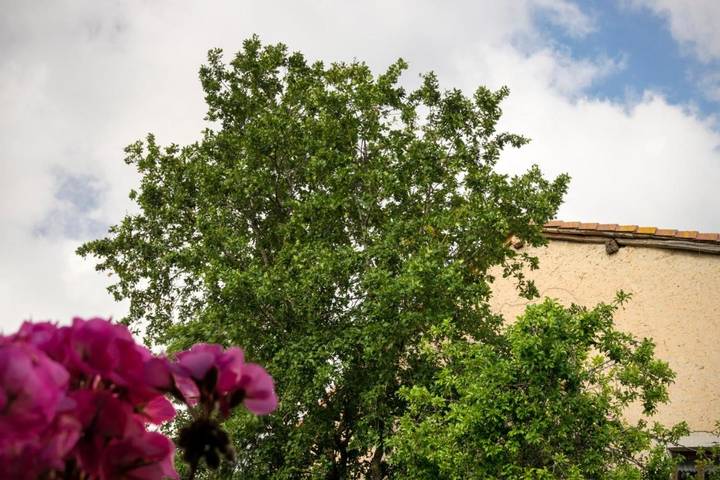 Hotel para 2 personas, con terraza y jardín en Merindad de Sotoscueva - 4