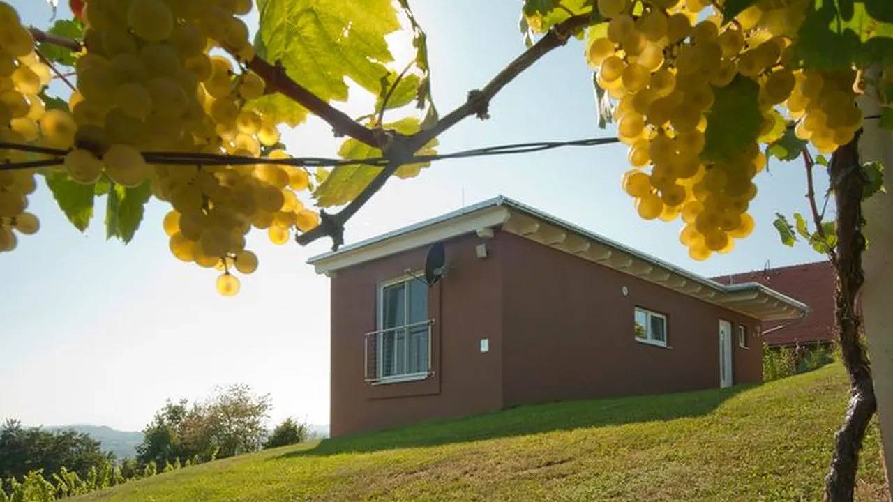 Ferienhaus für 6 Personen (80 m²) in Fehring in Südoststeiermark, Hohenbrugg-Weinberg